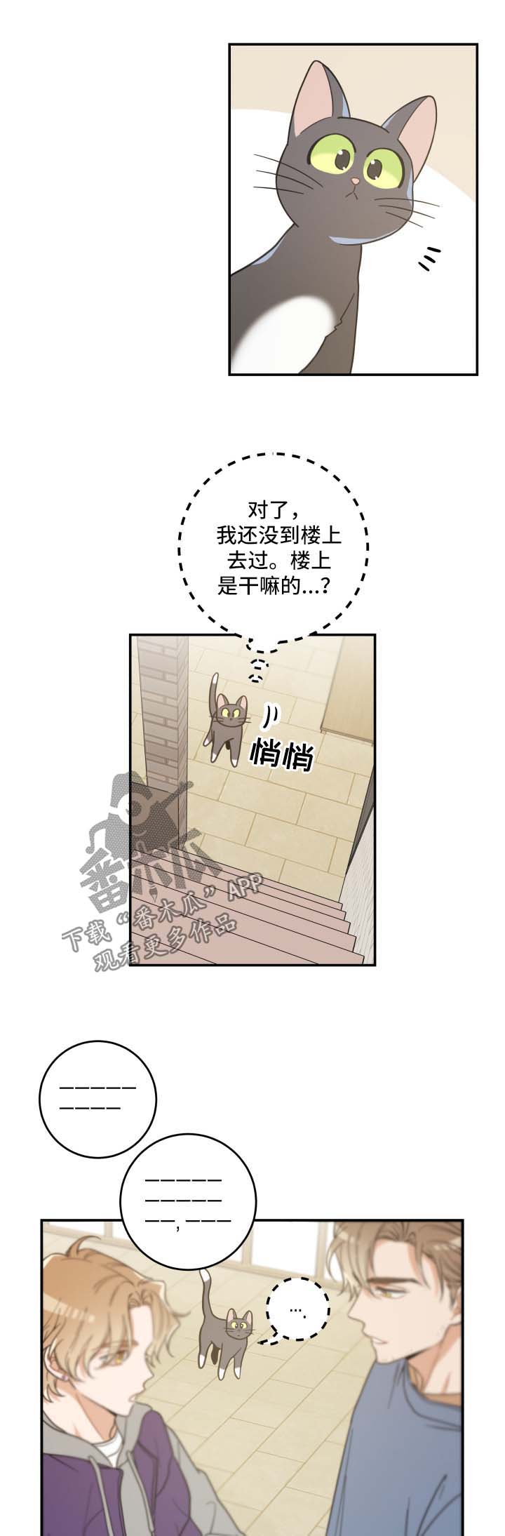亲爱的喵君免费阅读漫画漫画,第44章：快乐生活2图