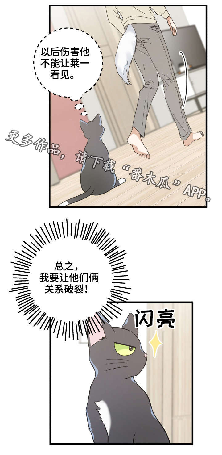 亲爱的喵君画涯漫画漫画,第41章：本能2图