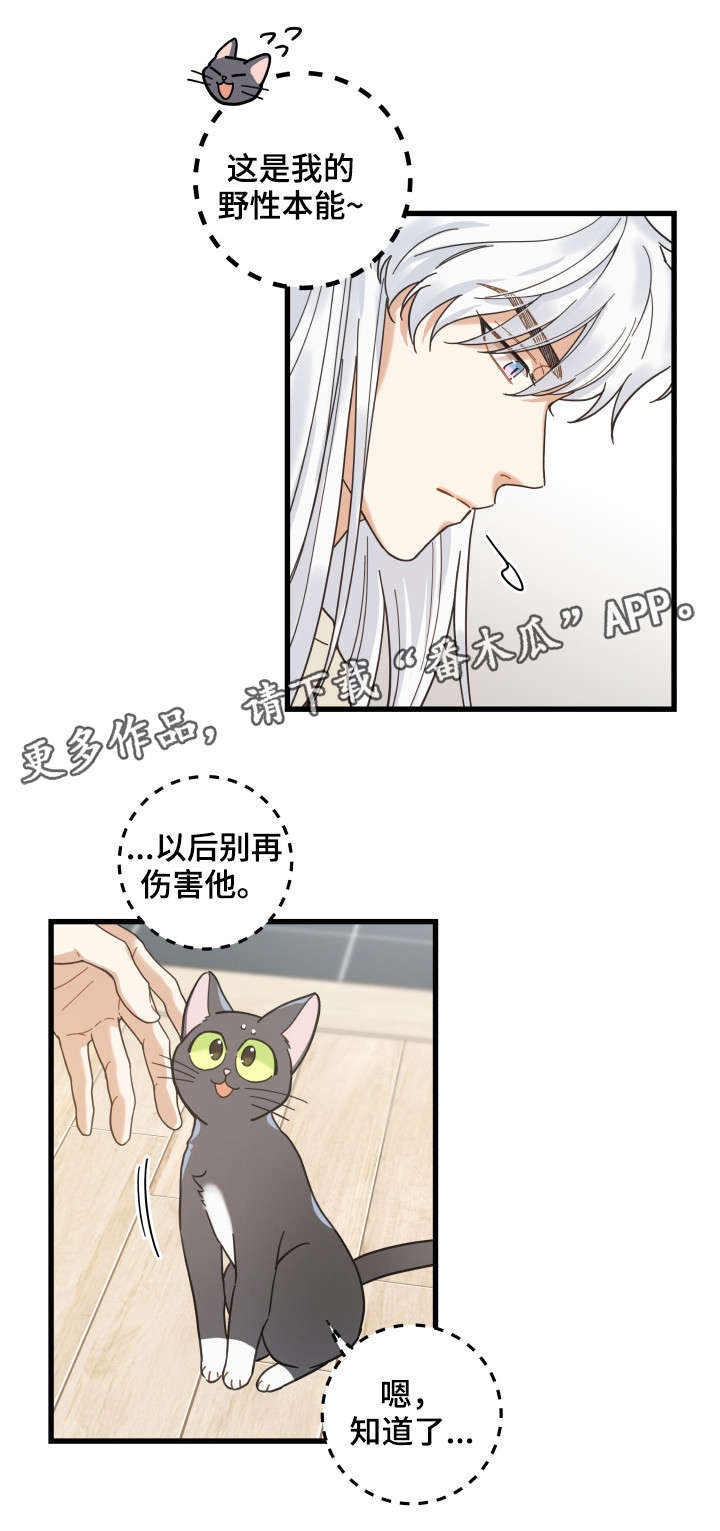 亲爱的喵君画涯漫画漫画,第41章：本能1图