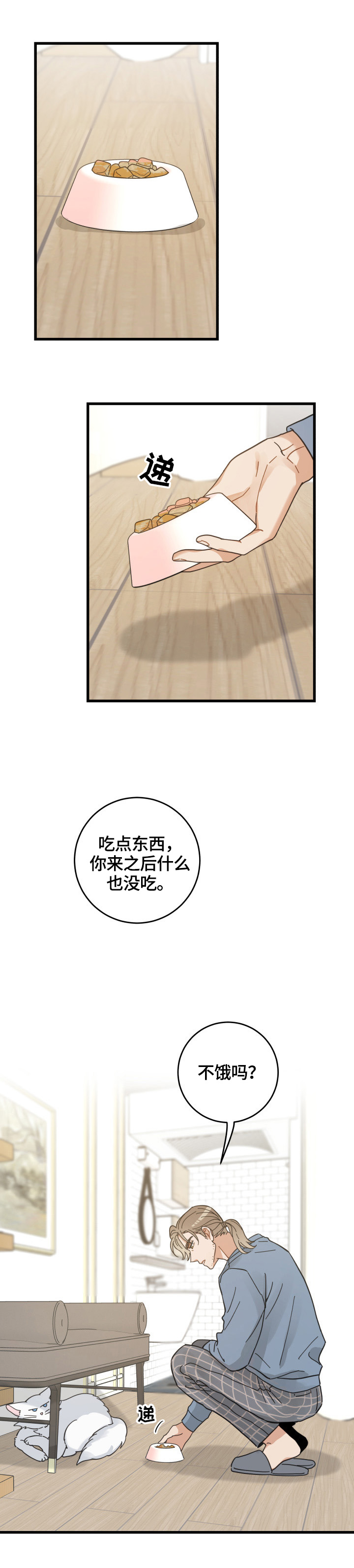 亲爱的喵君漫画解说漫画,第61章：叫门4图