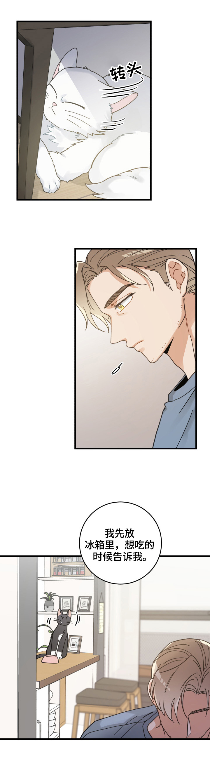 亲爱的喵君漫画解说漫画,第61章：叫门5图