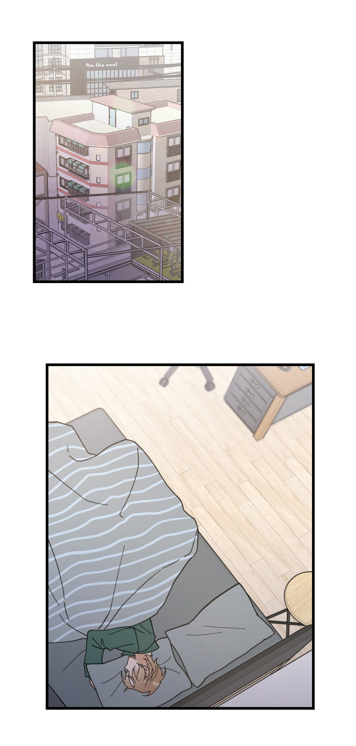 亲爱的喵君漫画解说漫画,第61章：叫门1图