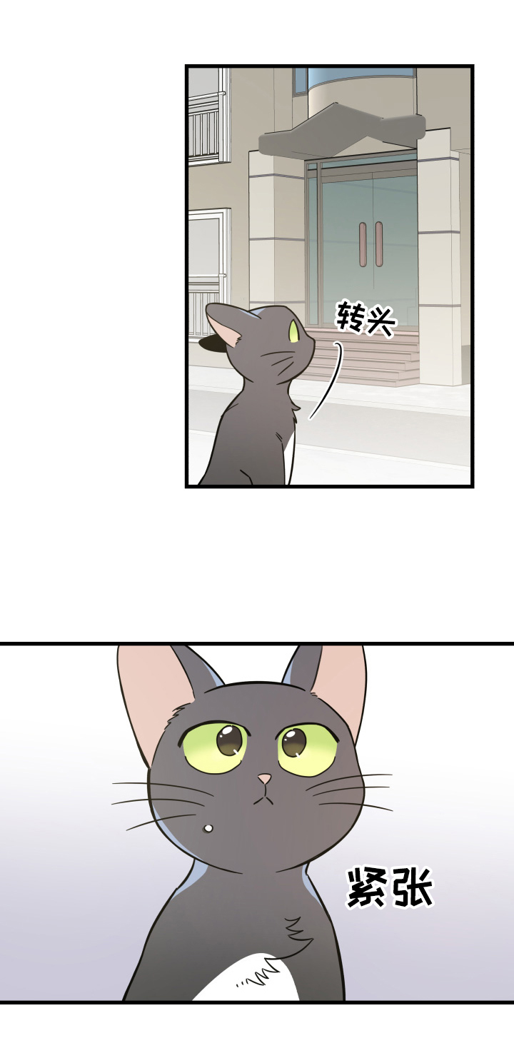 亲爱的孩子们漫画,第70章：安慰3图