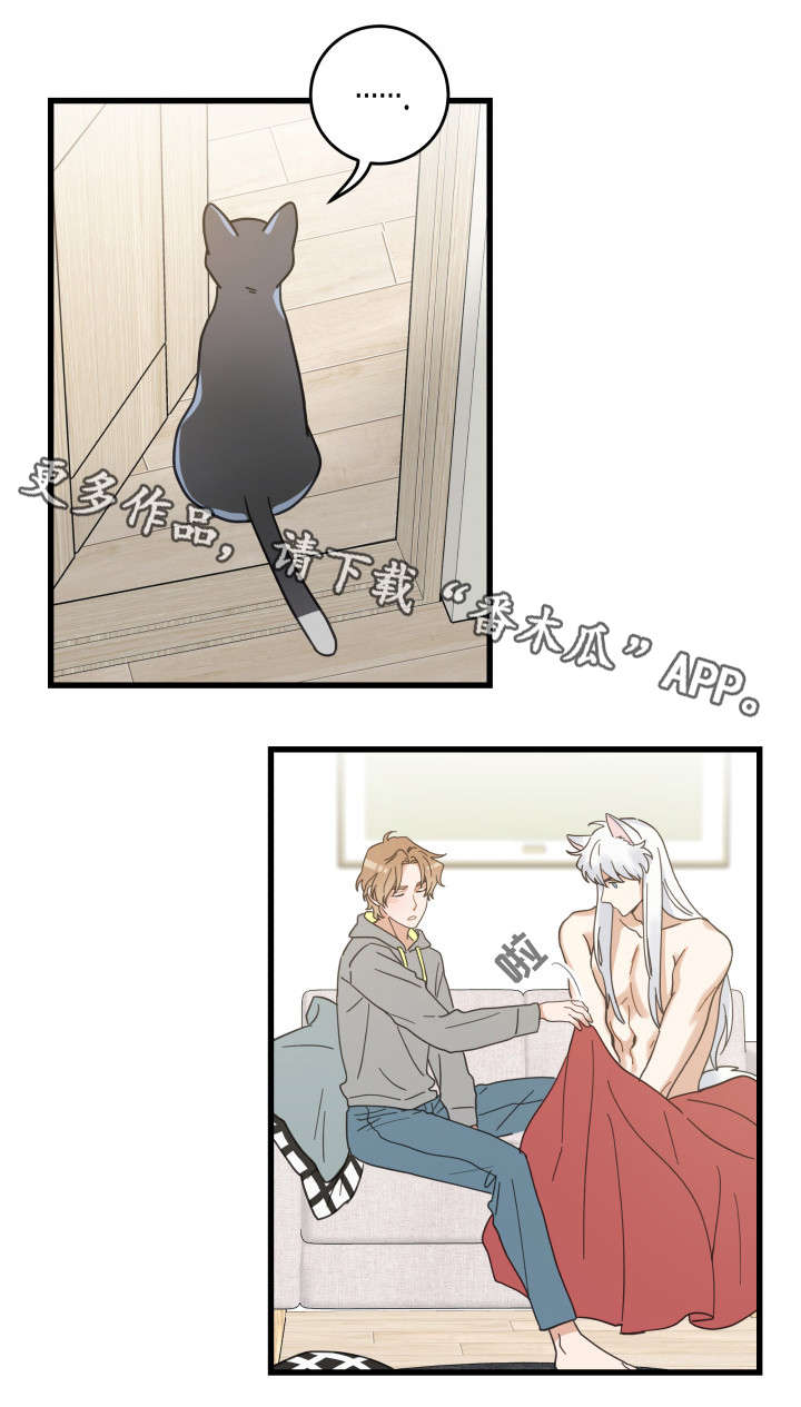 亲爱的翻译官电视剧全集免费漫画,第40章：决心5图