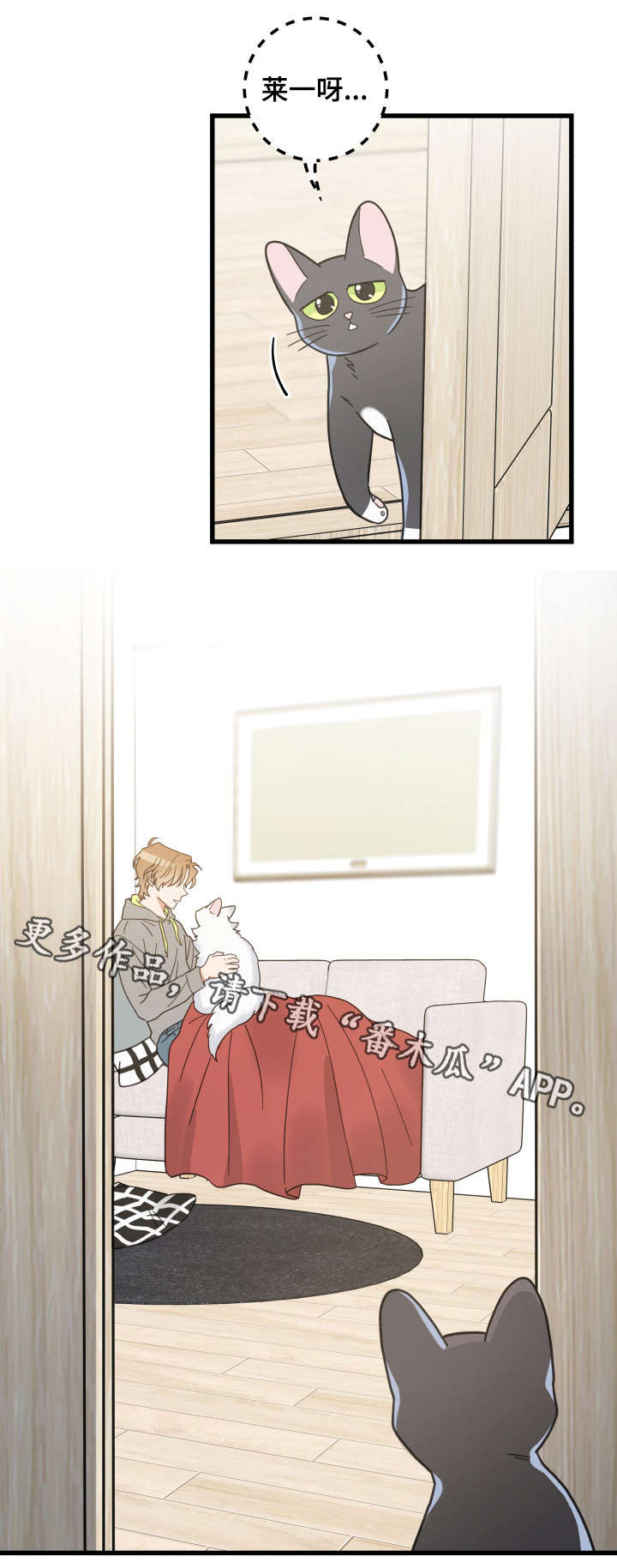 亲爱的翻译官电视剧全集免费漫画,第40章：决心2图