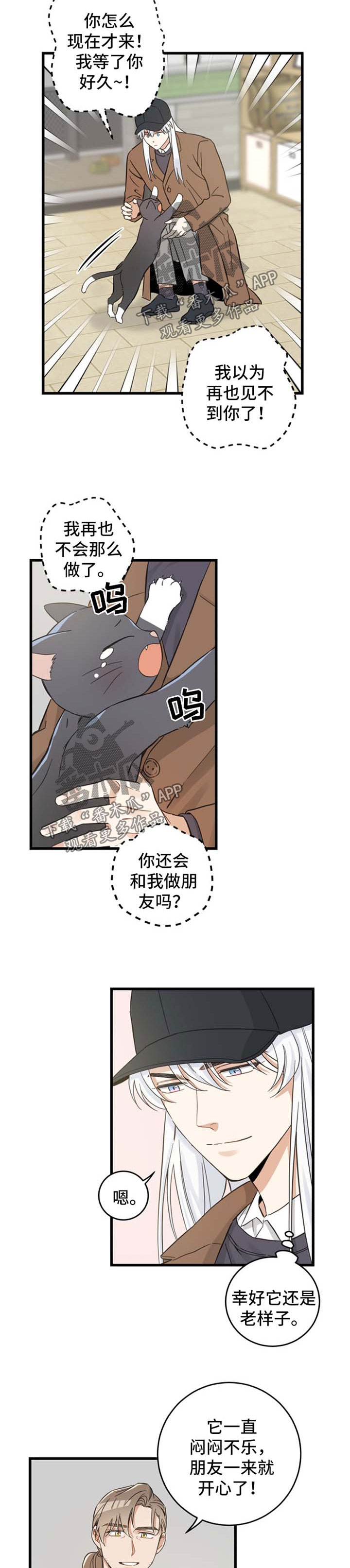 亲爱的喵君小说漫画,第77章：串门4图