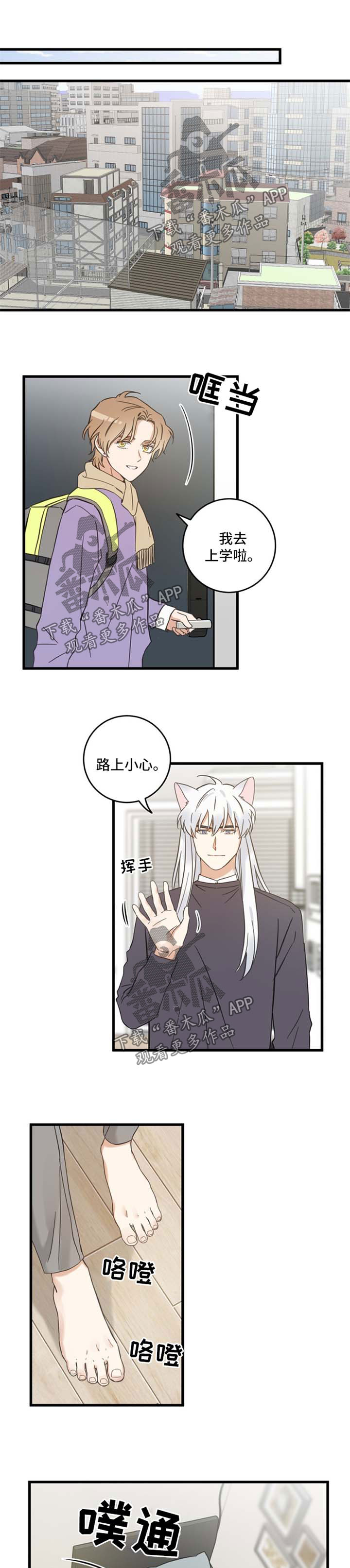 亲爱的喵君小说漫画,第77章：串门1图