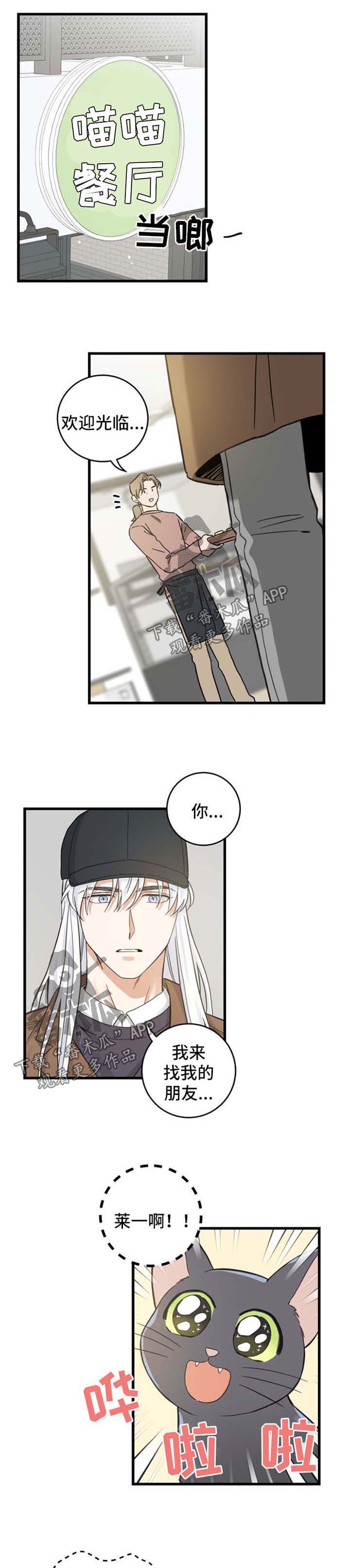 亲爱的喵君小说漫画,第77章：串门3图