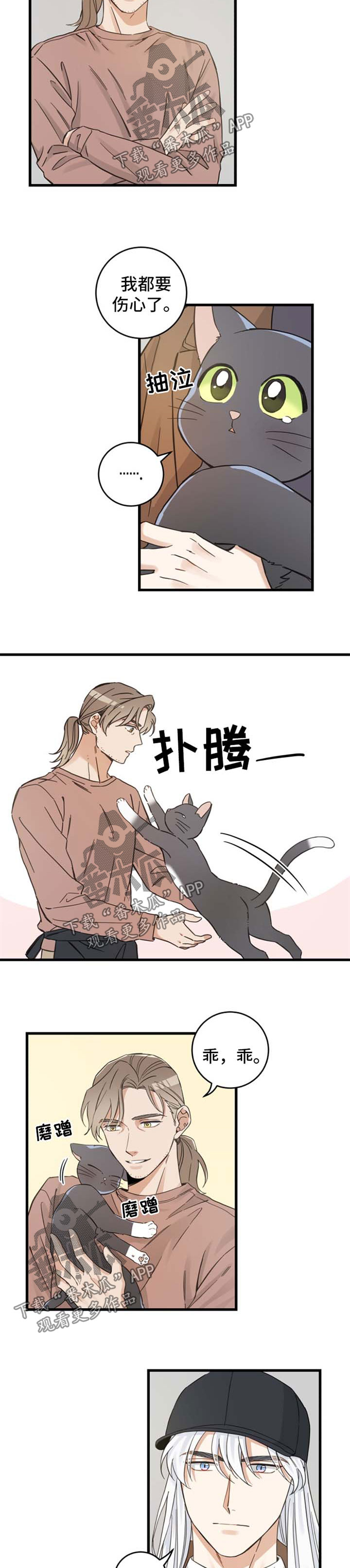 亲爱的喵君小说漫画,第77章：串门5图