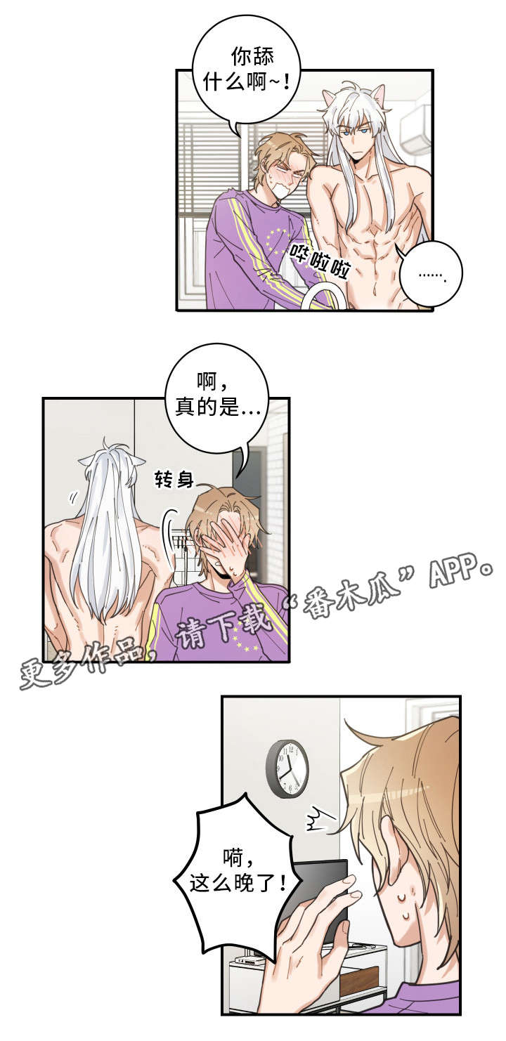亲爱的小孩在线观看电视剧免费漫画,第6章：猫呢4图