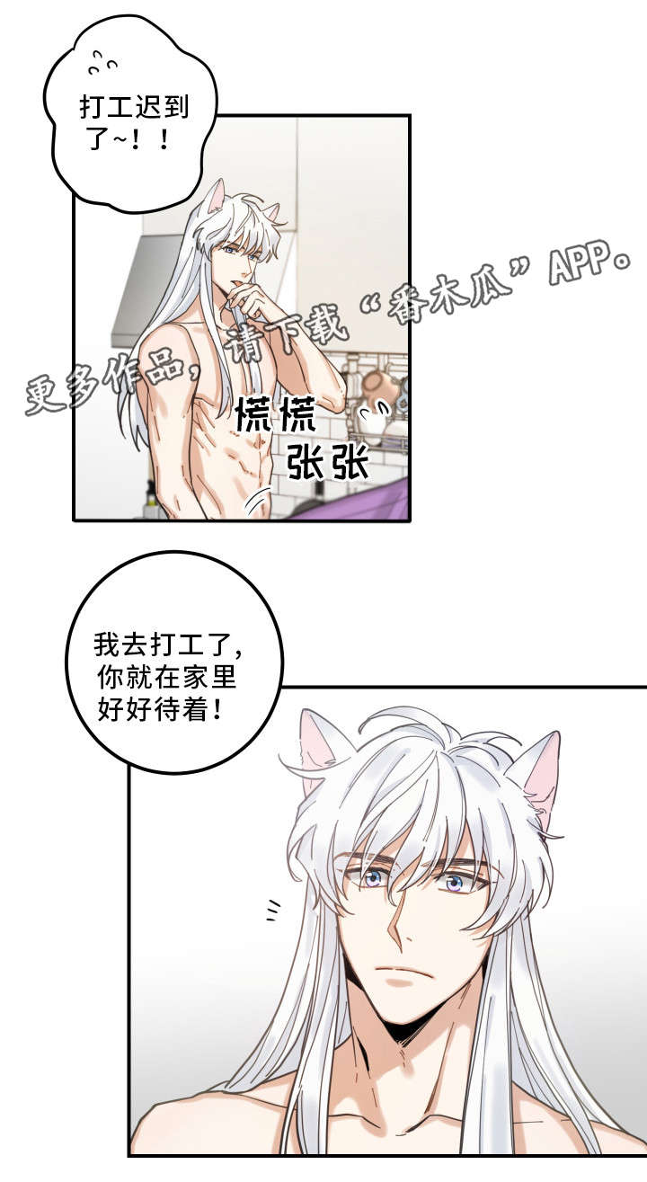 亲爱的小孩在线观看电视剧免费漫画,第6章：猫呢5图