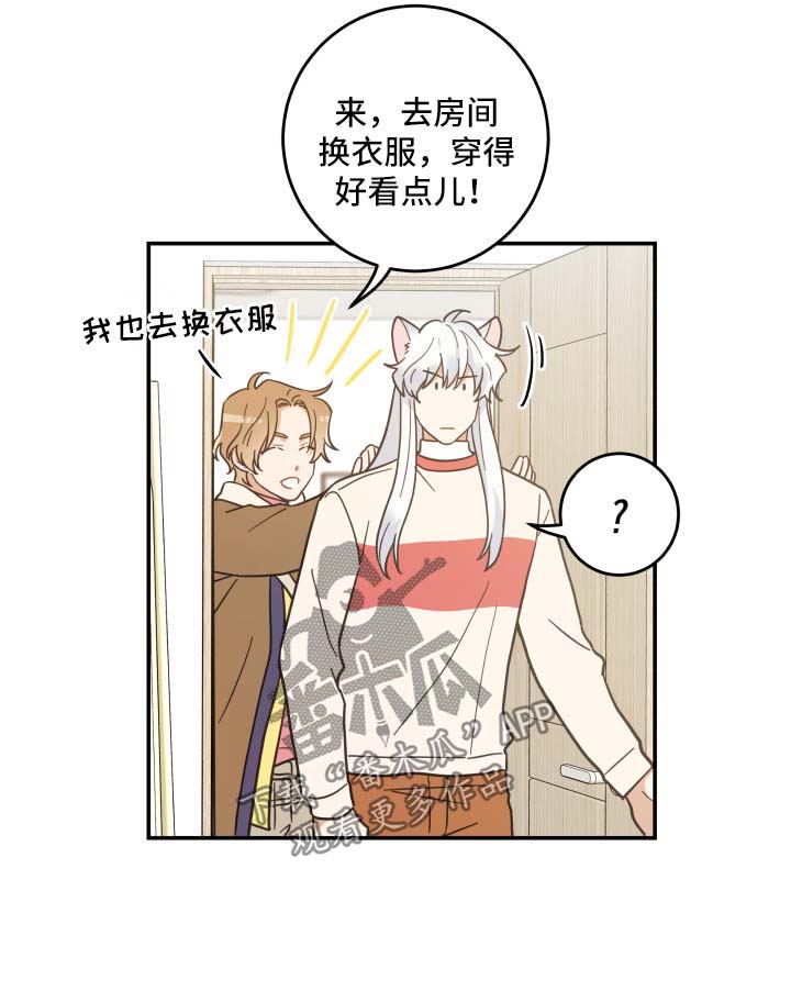 亲爱的喵君免费阅读漫画,第48章：两人约会4图