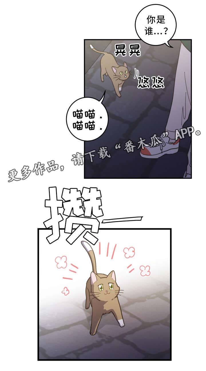 亲爱的维多利亚港梁舒怀漫画,第15章：抓伤1图