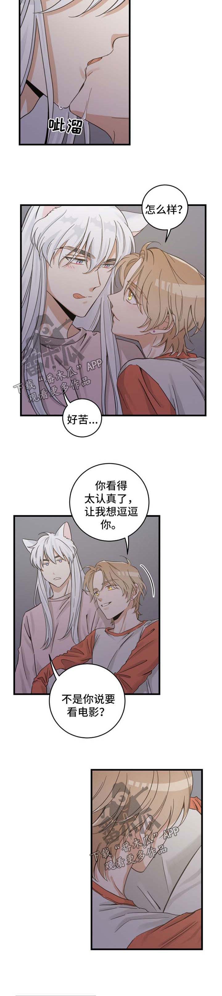 亲爱的翻译官漫画,第74章：我们聊聊4图