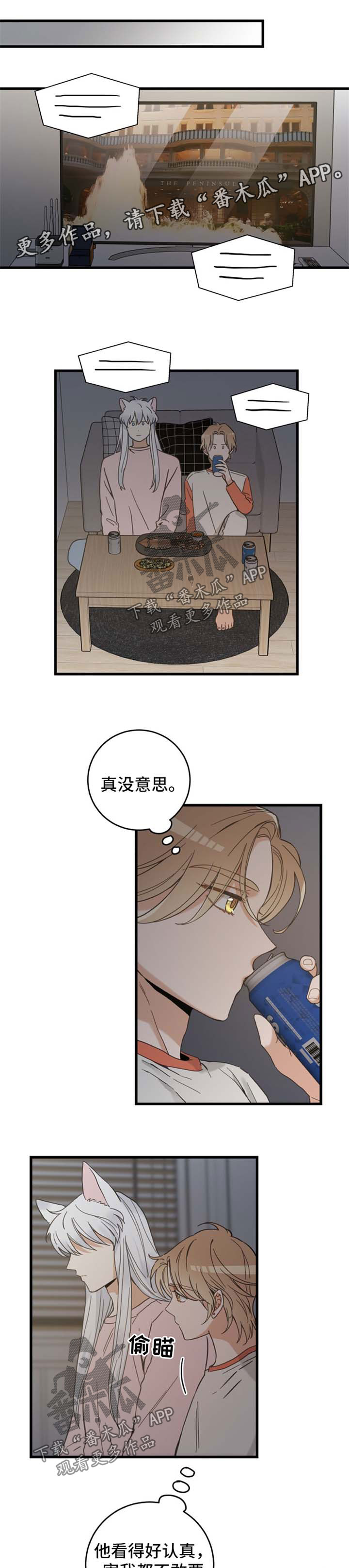 亲爱的翻译官漫画,第74章：我们聊聊1图