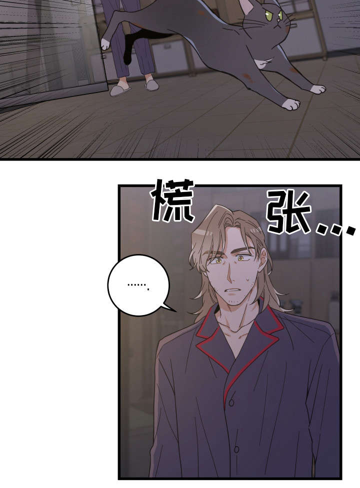 亲爱的喵先生小说作者漫画,第35章：盯3图