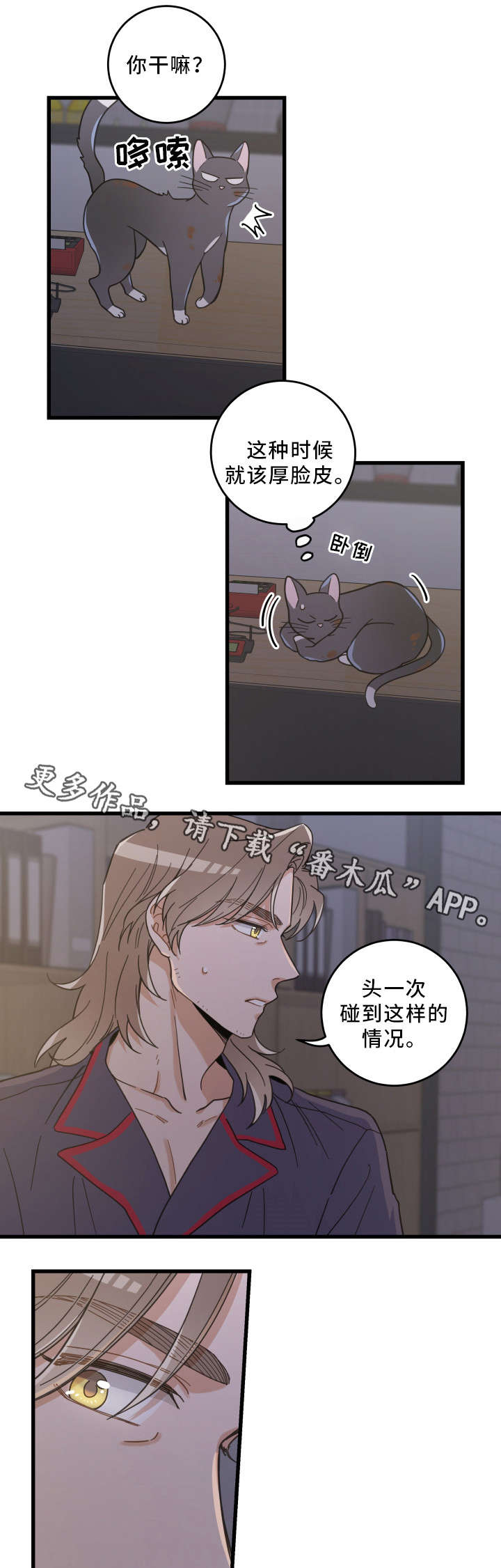 亲爱的喵先生小说作者漫画,第35章：盯4图