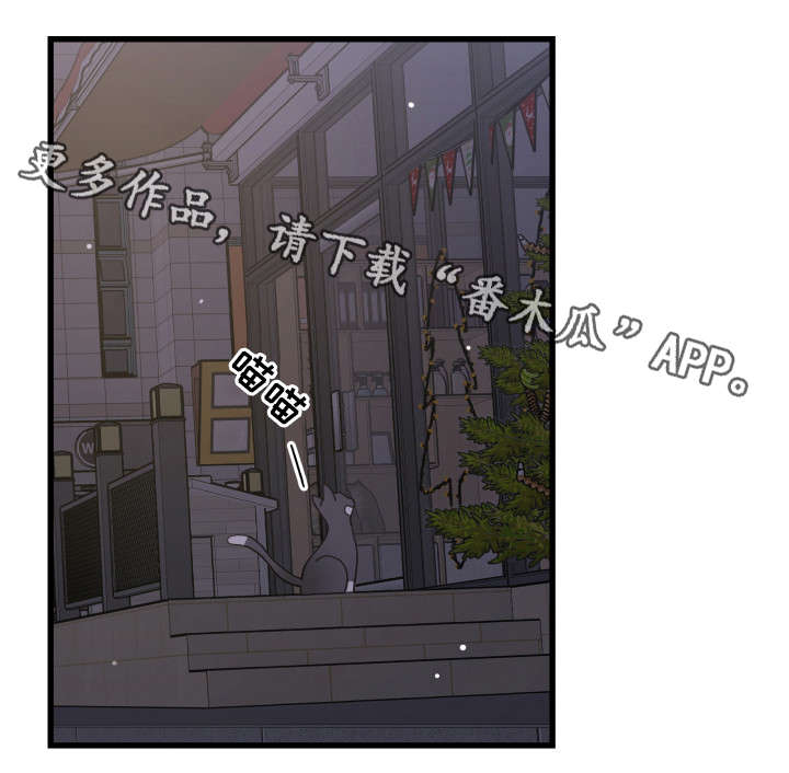 亲爱的喵先生小说作者漫画,第35章：盯1图