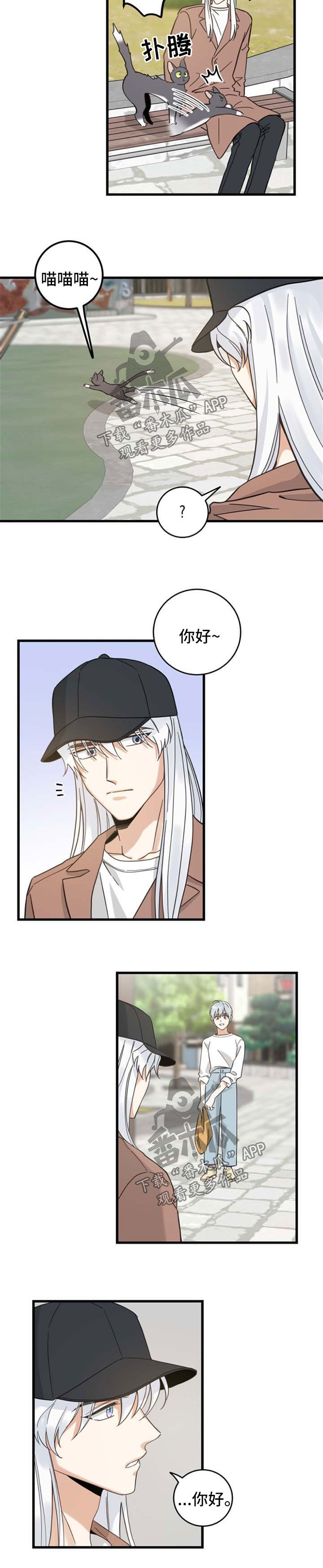 亲爱的喵君漫画免费下拉式9漫画,第88章：偶遇4图