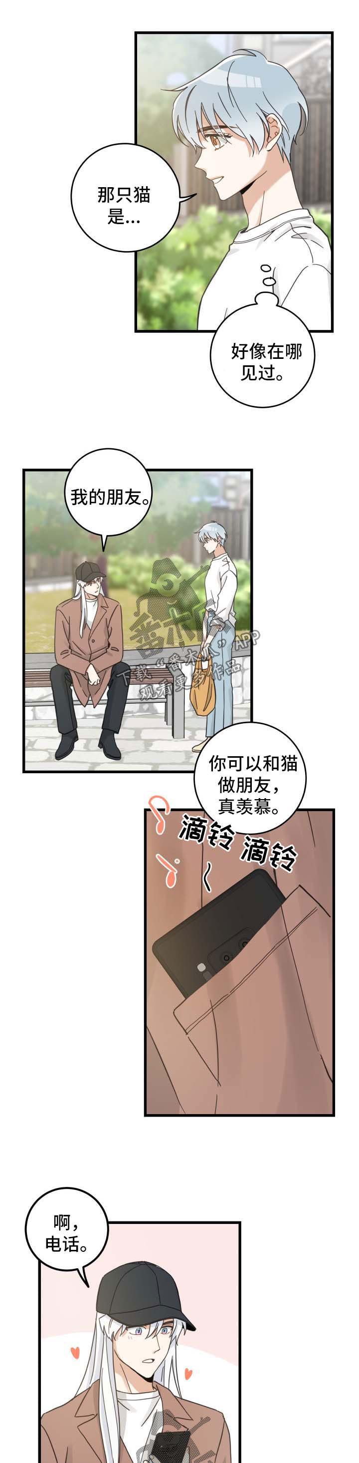 亲爱的喵君漫画免费下拉式9漫画,第88章：偶遇5图