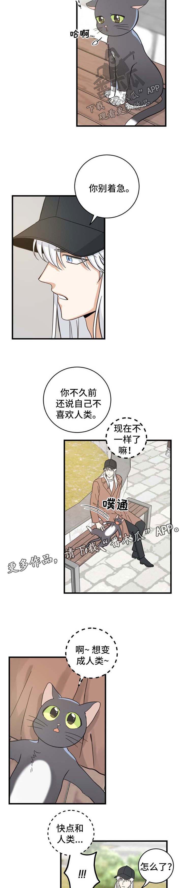 亲爱的喵君漫画免费下拉式9漫画,第88章：偶遇3图