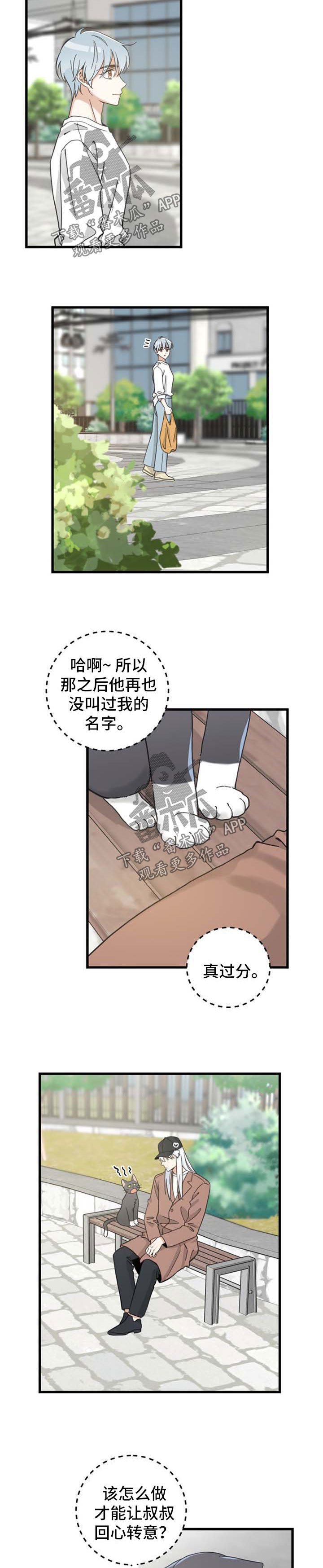 亲爱的喵君漫画免费下拉式9漫画,第88章：偶遇2图