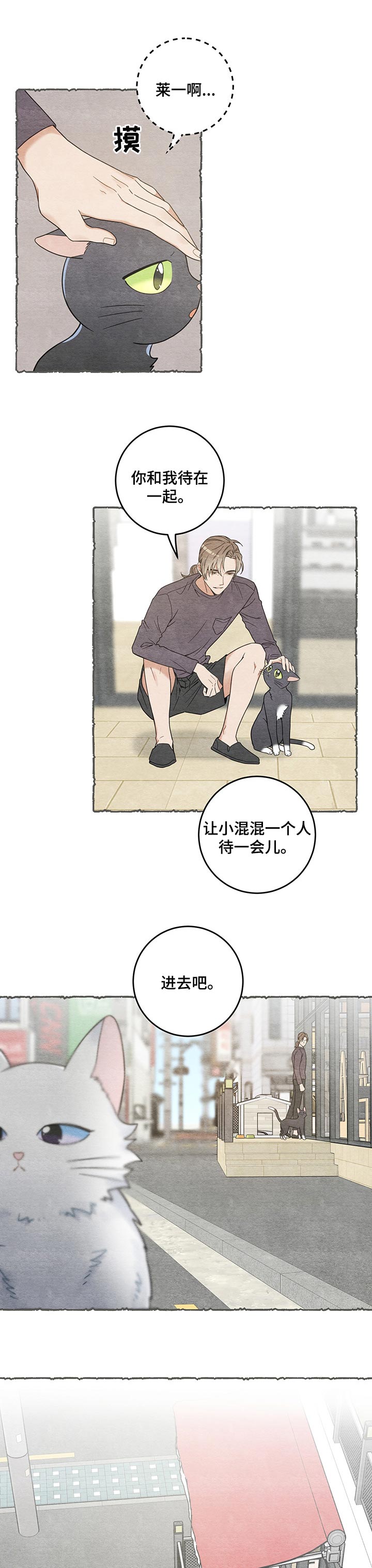 亲爱的你在想我吗漫画,第101章：失踪了2图