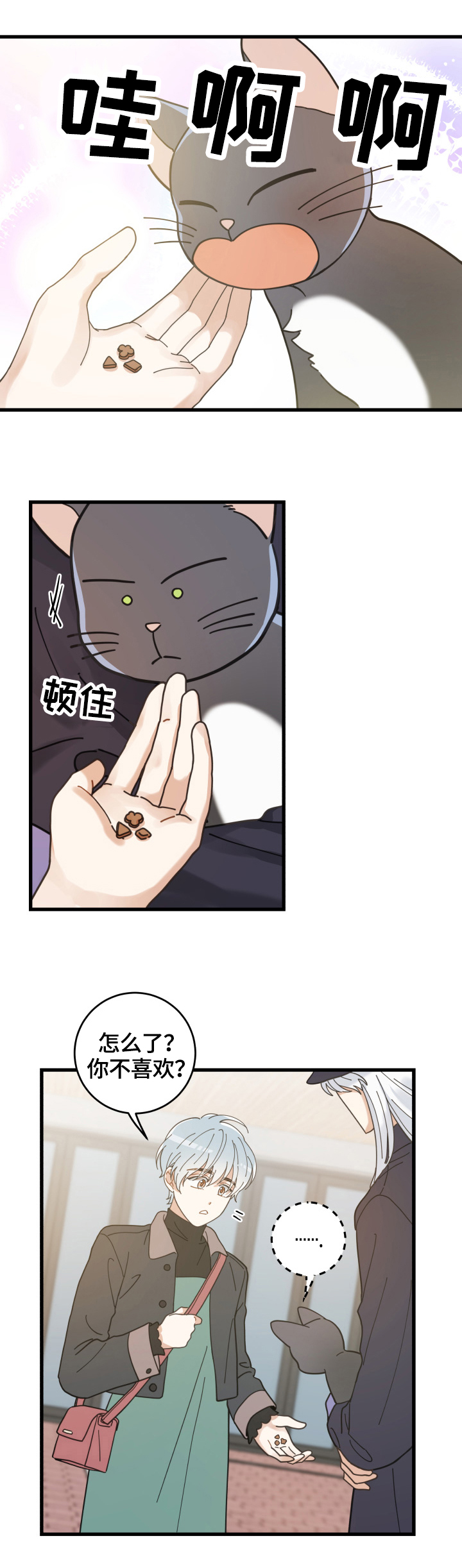 亲爱的喵君免费漫画在线漫画,第56章：不能碰的东西1图