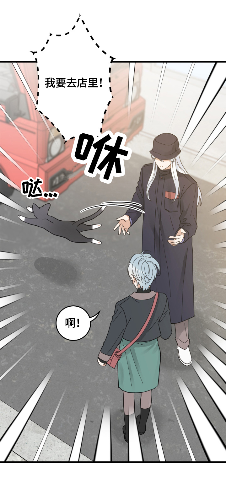 亲爱的喵君免费漫画在线漫画,第56章：不能碰的东西2图