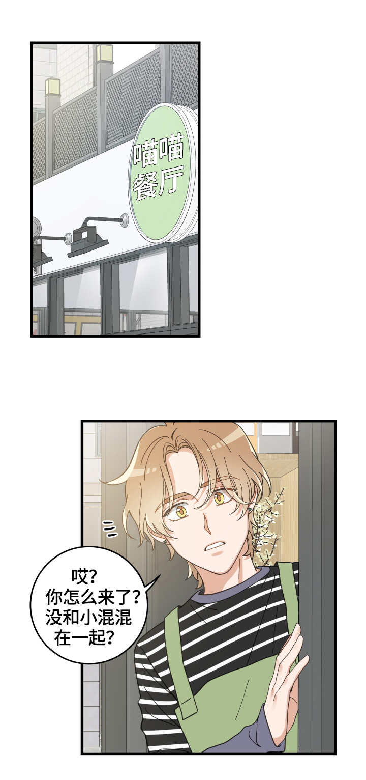 亲爱的喵君免费漫画在线漫画,第56章：不能碰的东西5图
