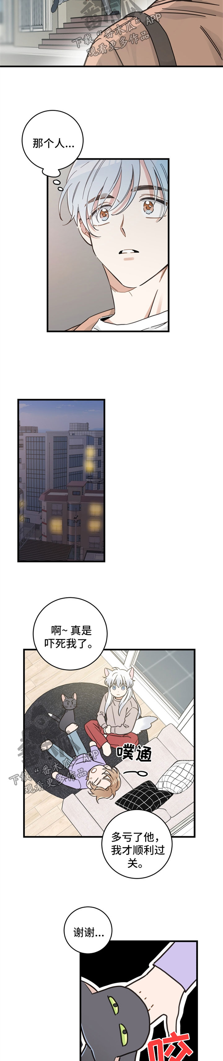 亲爱的猫咪君漫画,第80章：想要回家3图