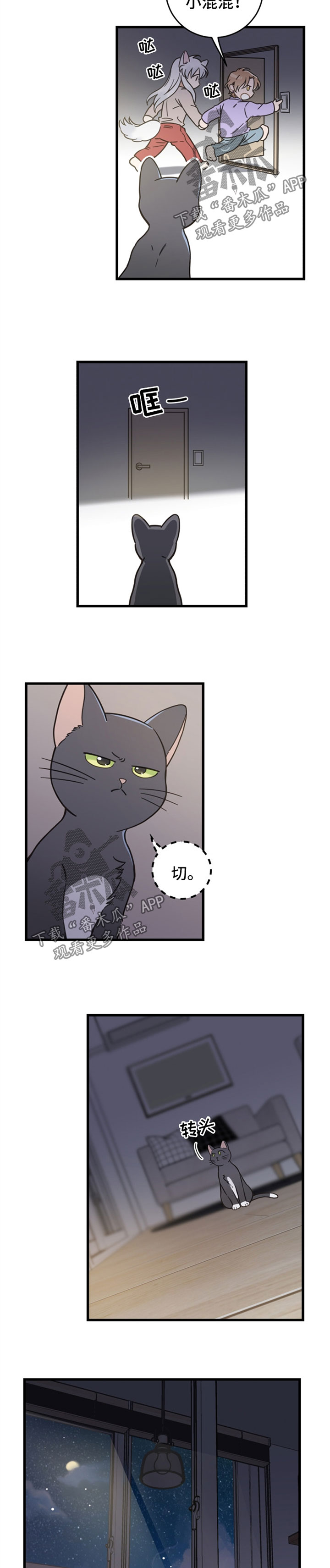 亲爱的猫咪君漫画,第80章：想要回家5图