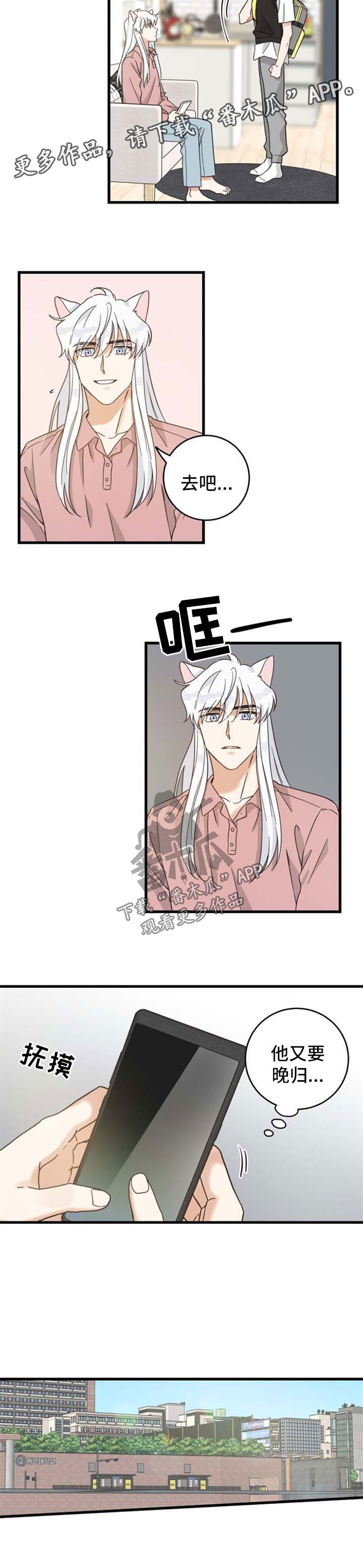 亲爱的喵品牌介绍漫画,第87章：像梦一样5图