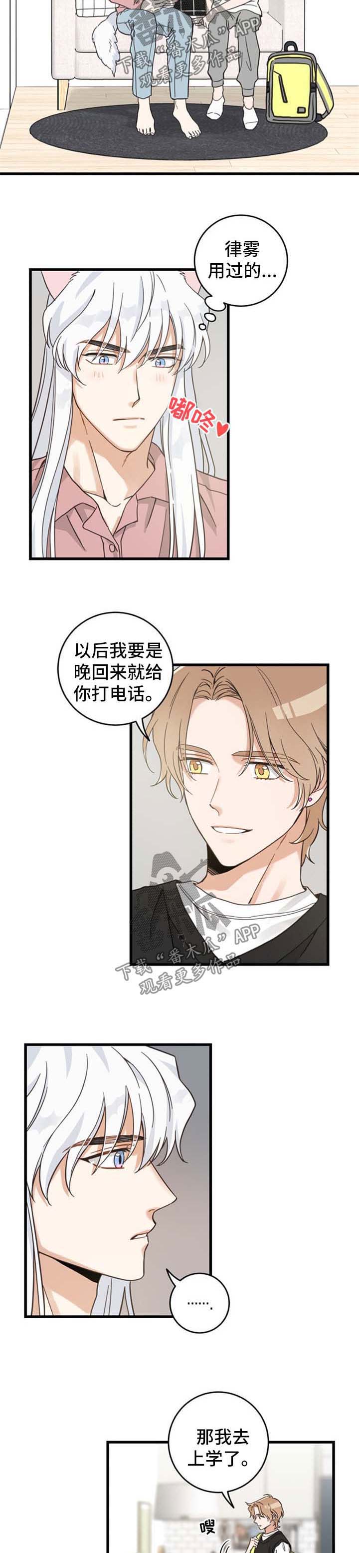 亲爱的喵品牌介绍漫画,第87章：像梦一样4图