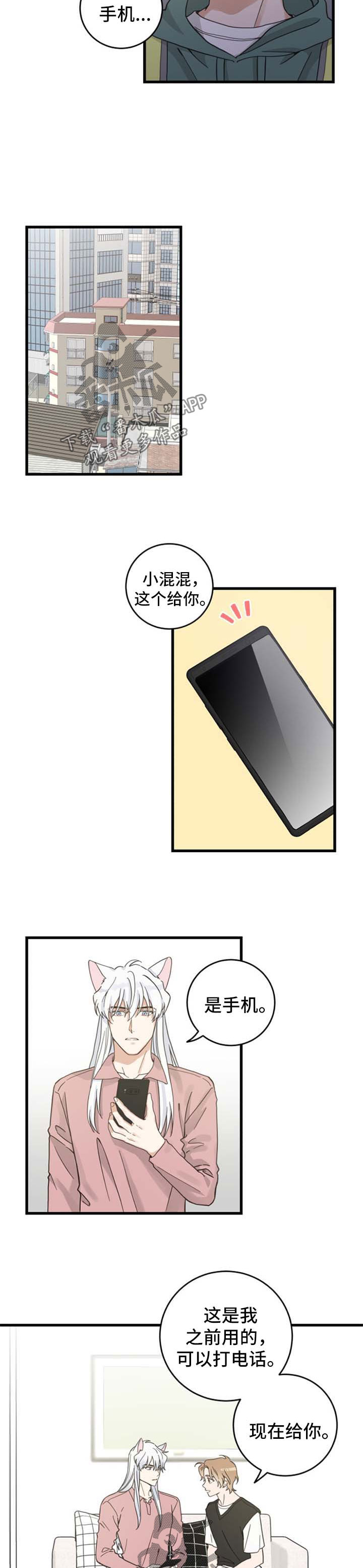 亲爱的喵品牌介绍漫画,第87章：像梦一样3图