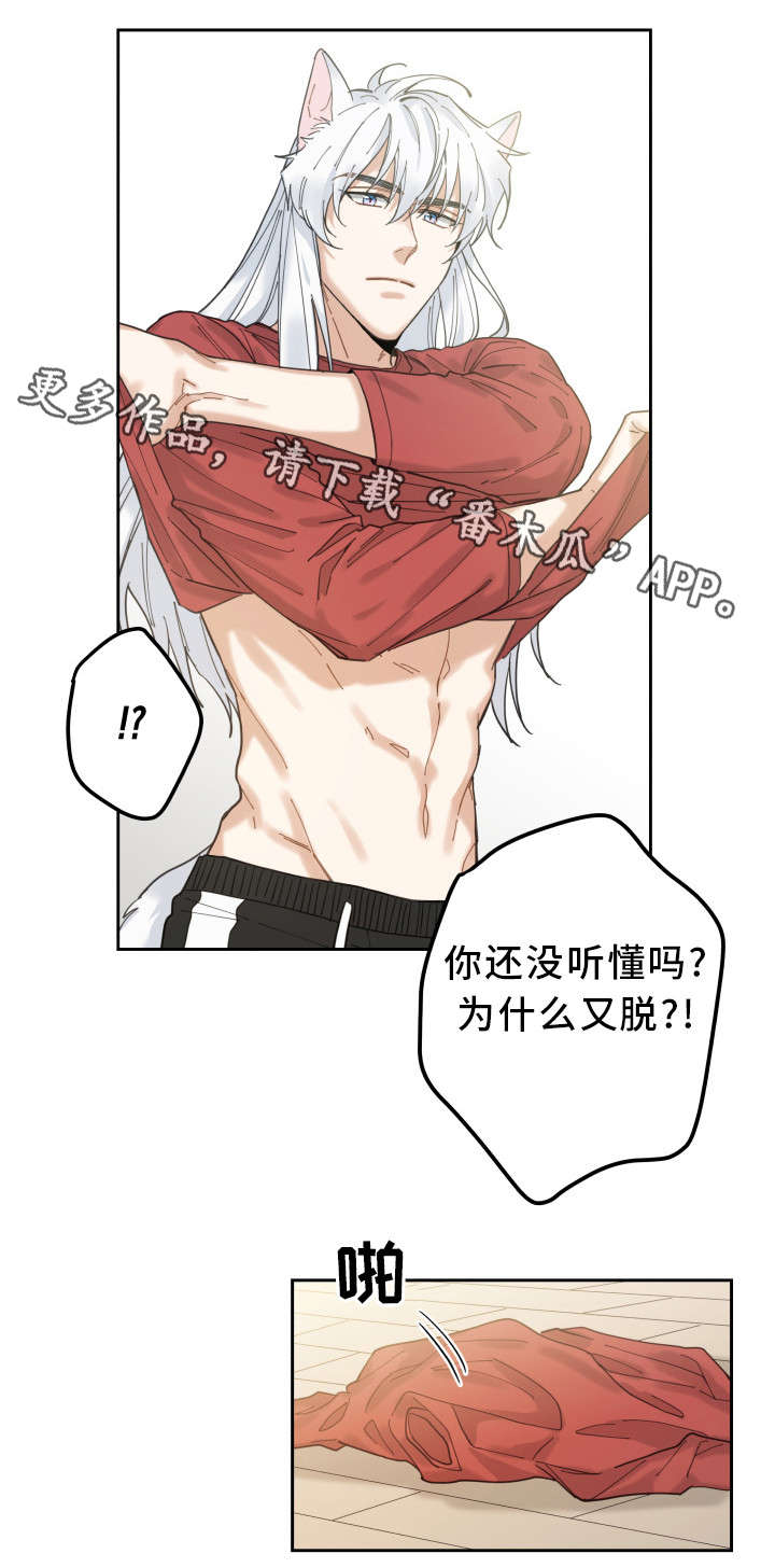 电视剧亲爱的喵先生剧情介绍漫画,第8章：又变回去了1图