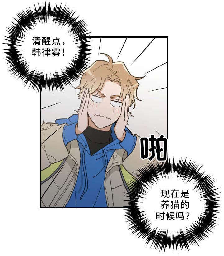 亲爱的喵君全文免费漫画下拉式漫画,第2章：白猫2图