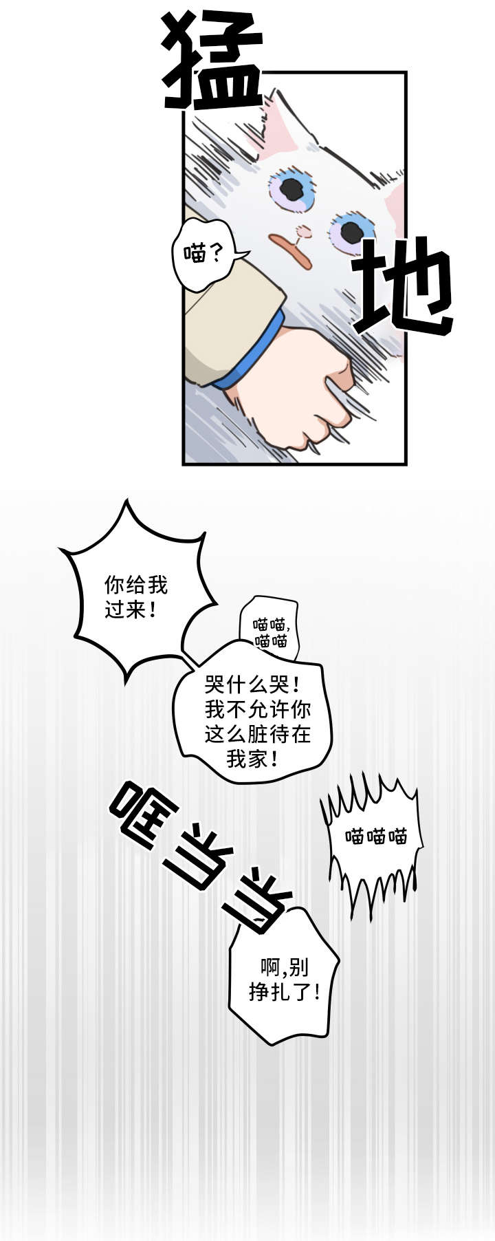 亲爱的喵君全文免费漫画下拉式漫画,第2章：白猫5图