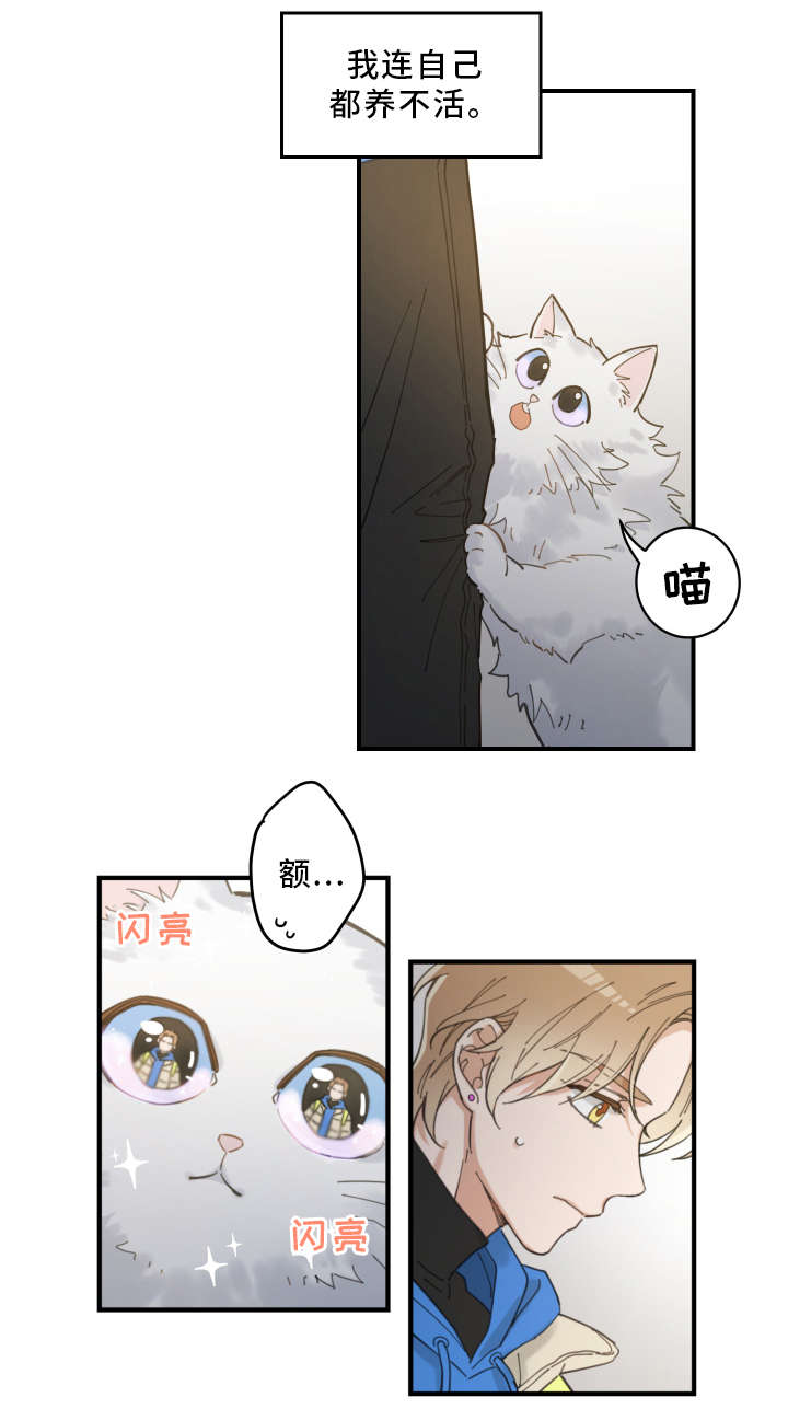 亲爱的喵君全文免费漫画下拉式漫画,第2章：白猫3图