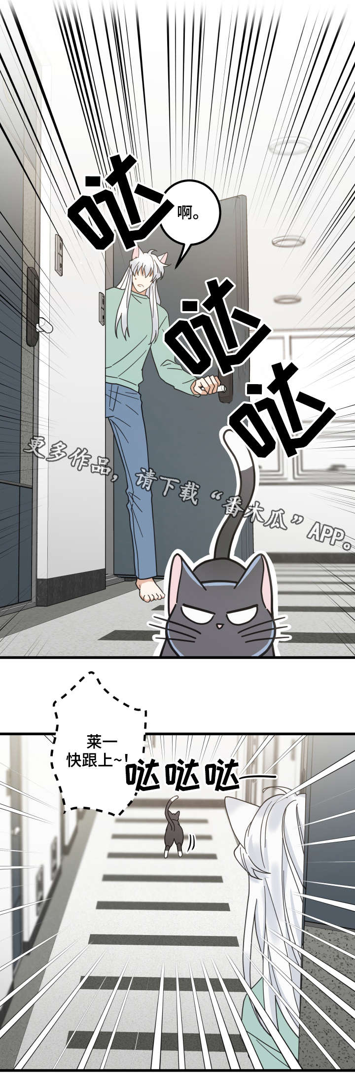 亲爱的喵君免费阅读漫画,第43章：叔叔2图