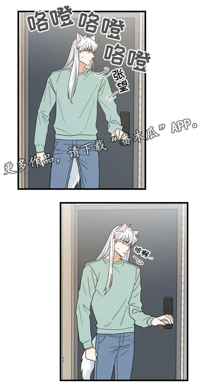 亲爱的喵君免费阅读漫画,第43章：叔叔4图