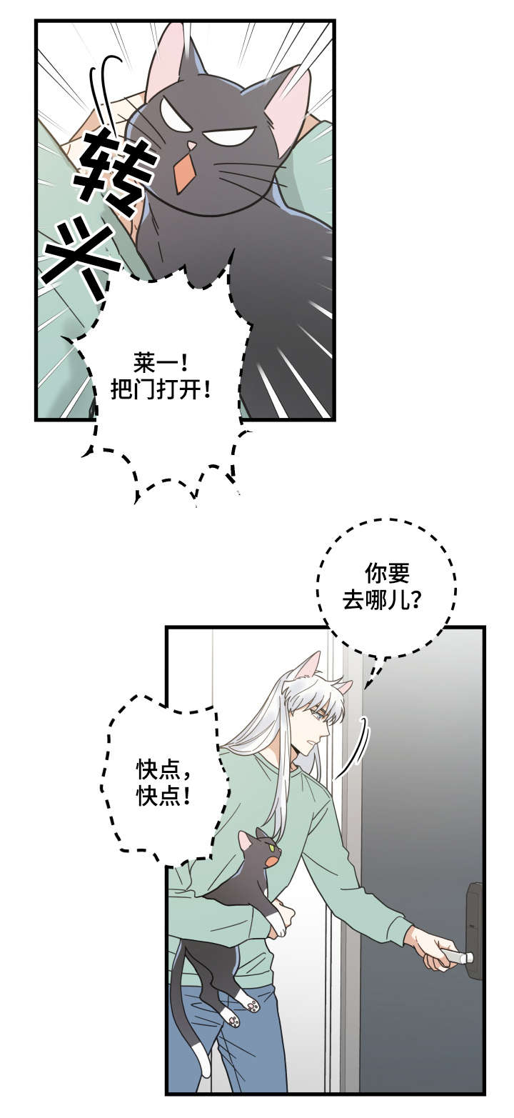 亲爱的喵君免费阅读漫画,第43章：叔叔1图
