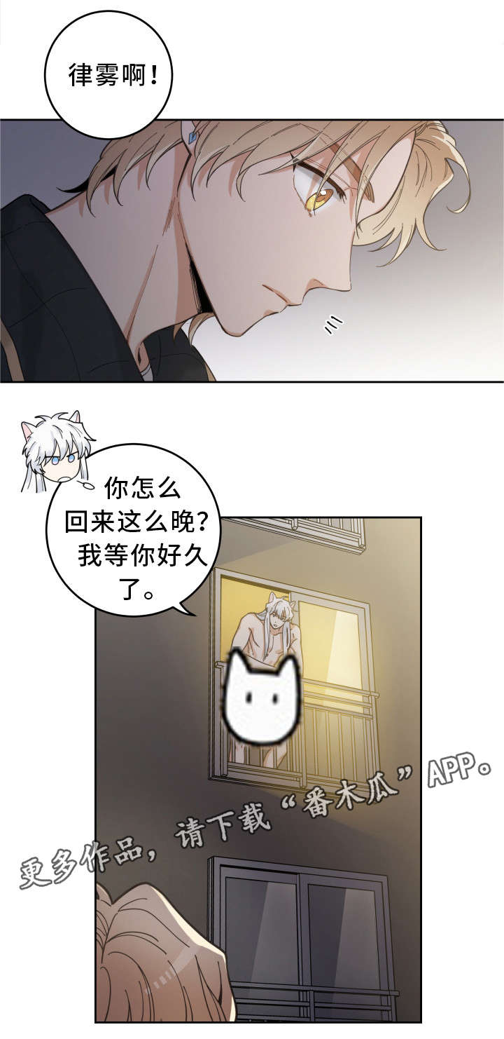 亲爱的喵先生漫画,第7章：衣服3图