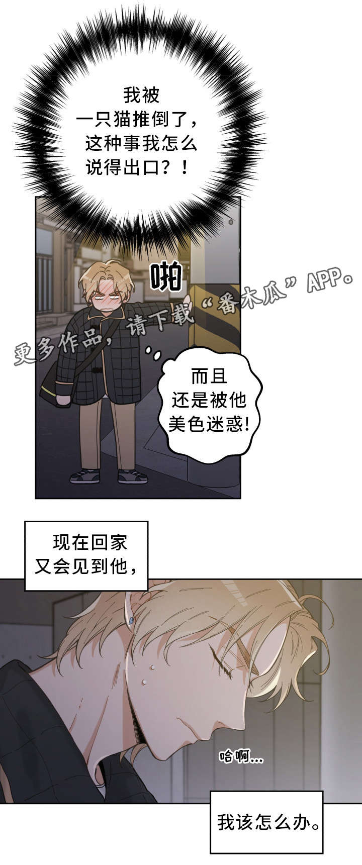 亲爱的喵先生漫画,第7章：衣服2图