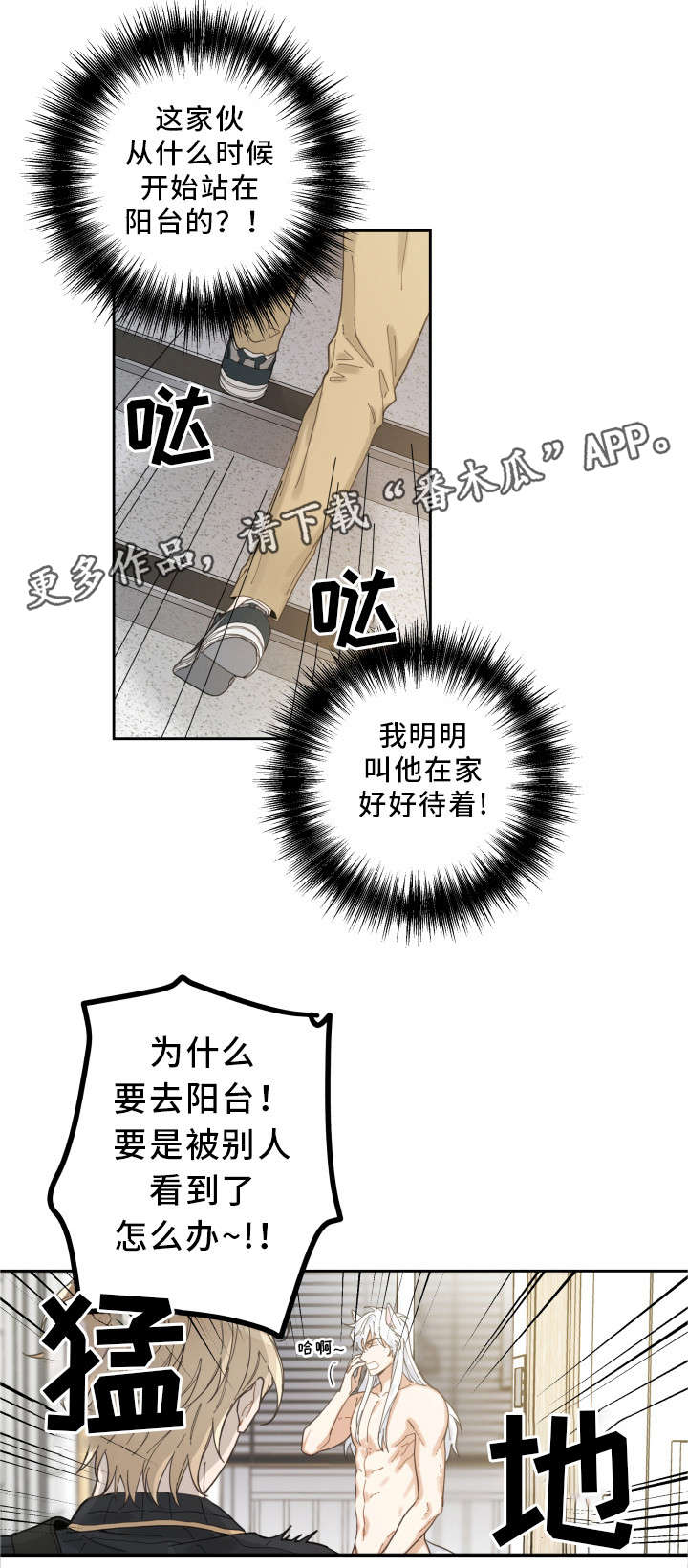亲爱的喵先生漫画,第7章：衣服5图