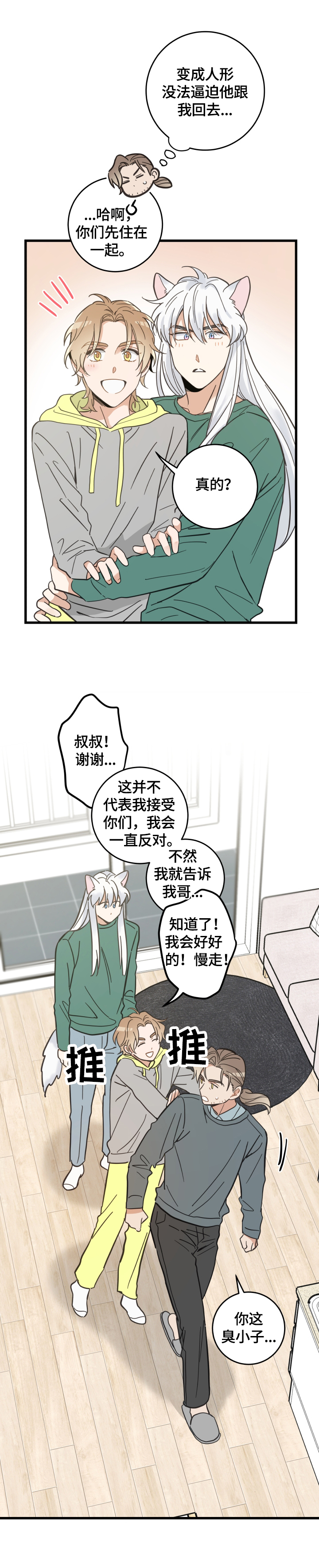 亲爱的喵先生漫画,第67章：同意4图