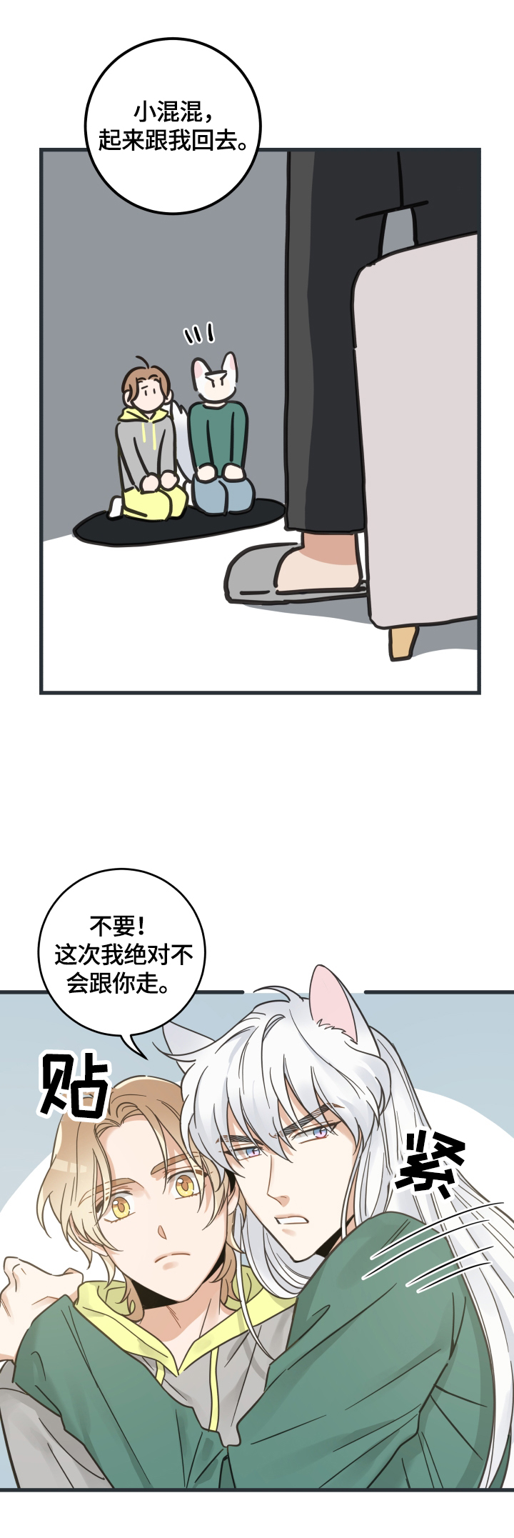 亲爱的喵先生漫画,第67章：同意2图