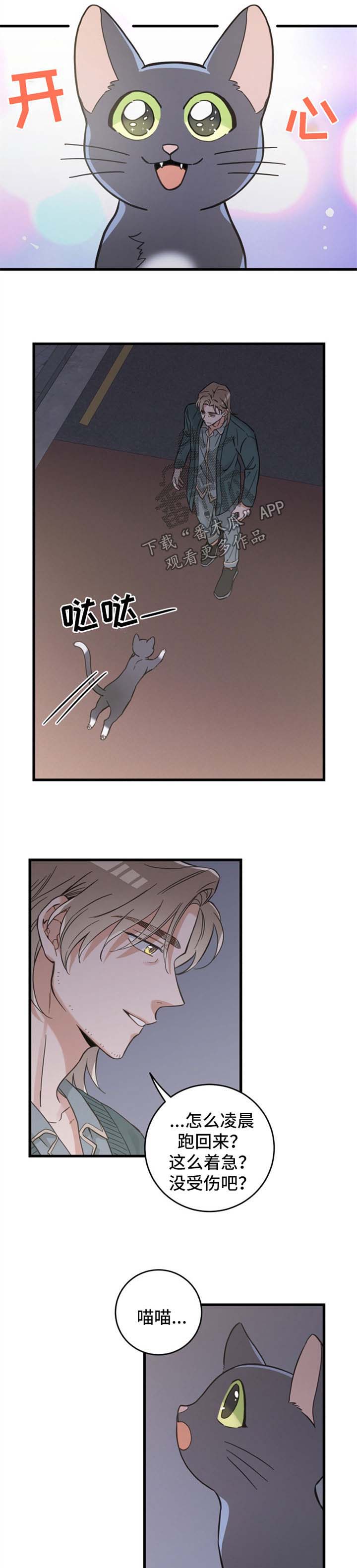 亲爱的喵君是韩漫吗漫画,第81章：星星5图