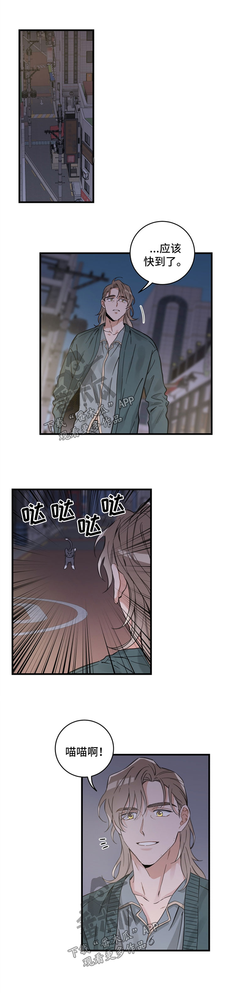 亲爱的喵君是韩漫吗漫画,第81章：星星4图