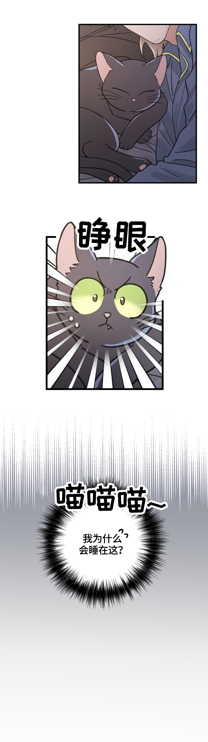 亲爱的喵君下拉式漫画,第51章：睡醒3图